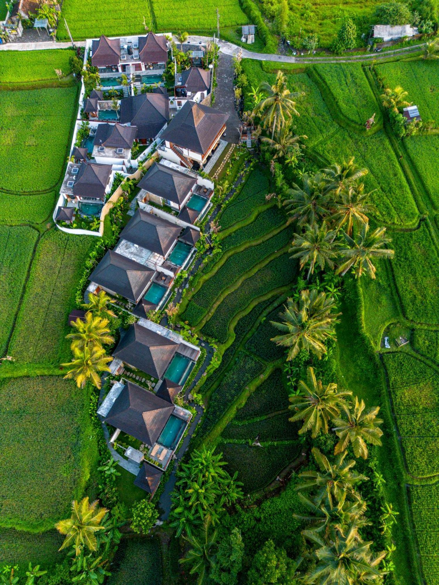 Dewi Kunti Villa Тегаллаланг Экстерьер фото