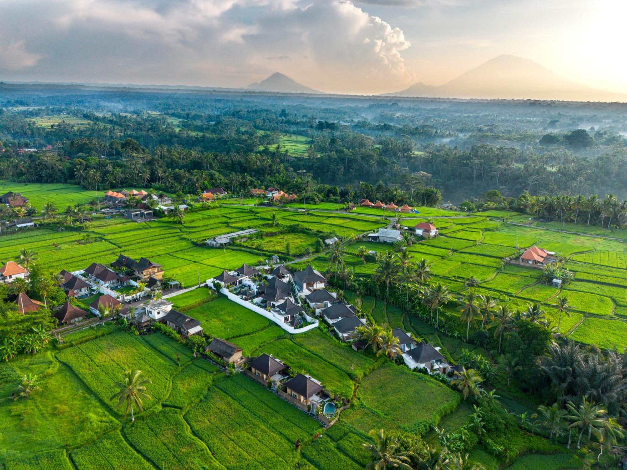 Dewi Kunti Villa Тегаллаланг Экстерьер фото