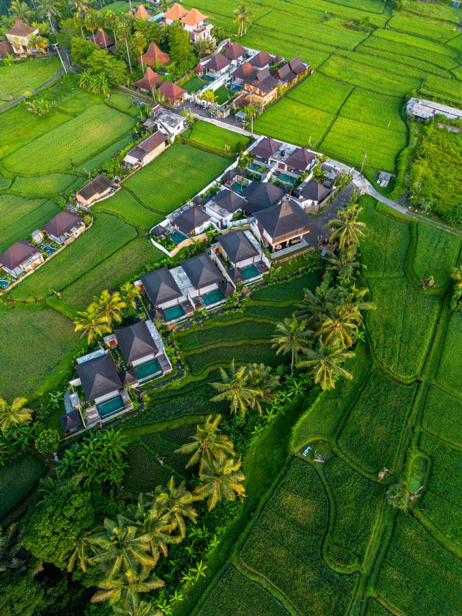 Dewi Kunti Villa Тегаллаланг Экстерьер фото